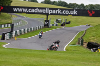 cadwell-no-limits-trackday;cadwell-park;cadwell-park-photographs;cadwell-trackday-photographs;enduro-digital-images;event-digital-images;eventdigitalimages;no-limits-trackdays;peter-wileman-photography;racing-digital-images;trackday-digital-images;trackday-photos